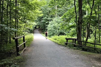 Bażantarnia (park leśny)
