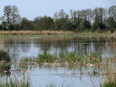 Jezioro Drużno